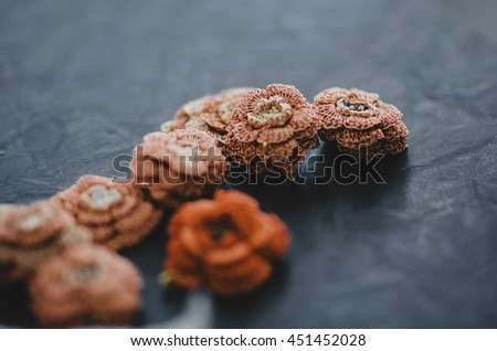 Orange wattled flowers lie on the table