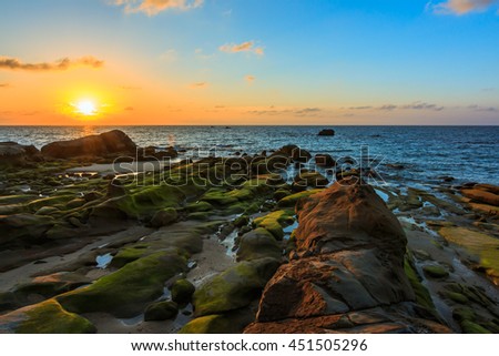 Green moss covered rocks boulders at Borneo during sunset Image contain soft focus and blur.