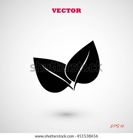 	leaf vector icon