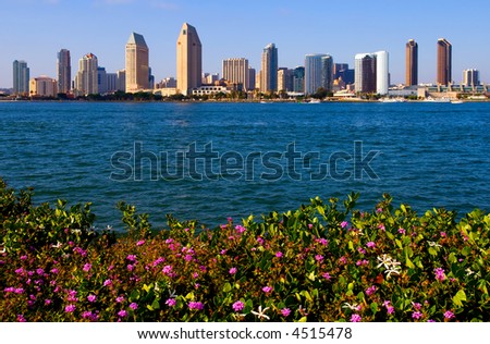 San Diego with flowers in the foreground