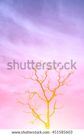 silhouetted tree and branch  without leaves in blue sky,pastel style.