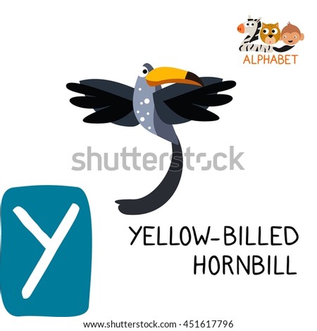 Cute Animal Zoo Alphabet. Letter Y for Yellow-billed Hornbill. Fun teaching aids for Kids