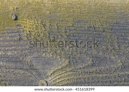 Old destroyed wooden background. Texture of wooden plank.
