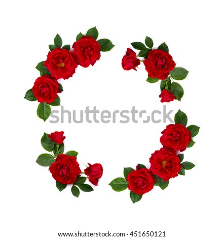 Frame of red roses (shrub rose) on a white background with space for text