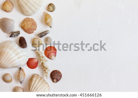 Frame with seashells on a white background. Sea concept. Flat lay. The top view. 