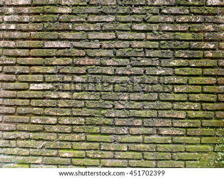 Old mold brick wall texture background