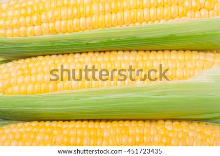 Three Head of corn with leaves as background