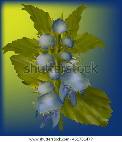 illustration with wild yellow and blue flower on light background