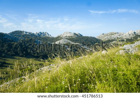 Velebit mountains in Croatia Europe. Beautiful nature and landscape photo. Nice warm summer day. Blue sky and green yellow grass.  Calm peaceful atmosphere. Happy and joyful outdoors picture.
