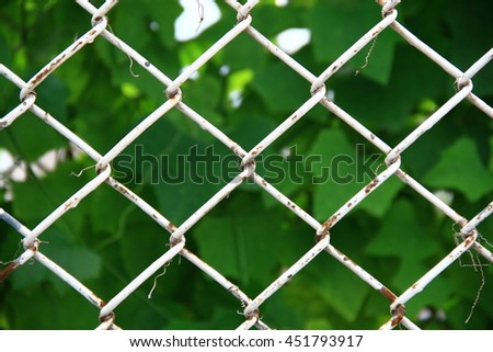 chain link with green leaves background