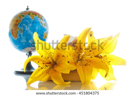 Globe with books and flowers