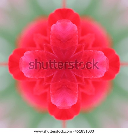 red tulip mandala for background