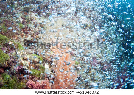 Clear bubbles underwater