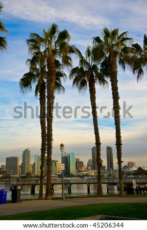 San Diego from Coronado through the palm trees