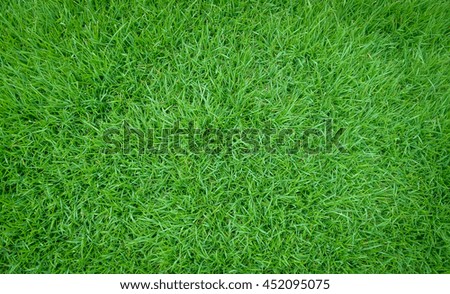 Green grass texture background, Green lawn, Backyard for background, Grass texture, Green lawn desktop picture, Park lawn texture,Green lawn for training football pitch.