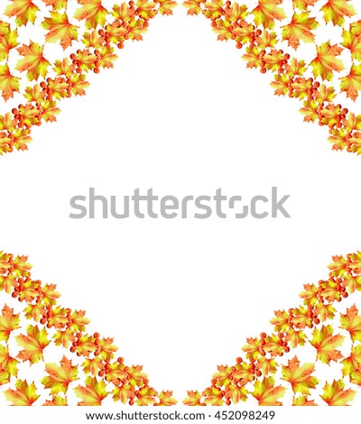 autumn leaves isolated on white background. maple
