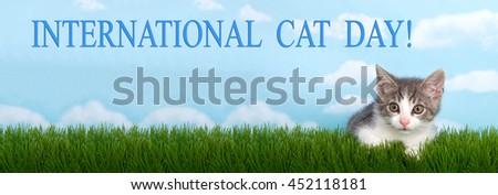 gray and white tabby kitten laying in green grass with blue background white clouds, International Cat Day banner formatted for popular social media. National cat day is October 29th Royalty-Free Stock Photo #452118181