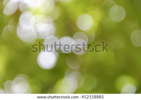 Bokeh natural color background, colorful  leaf of the tree fresh green, abstract blurred foliage and bright summer sunlight with copy space