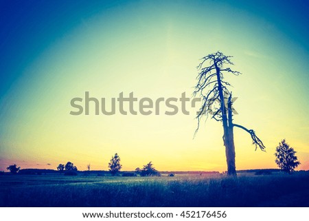 Vintage photo of beautiful sunset over summer field. Natural landscape with vintage mood.