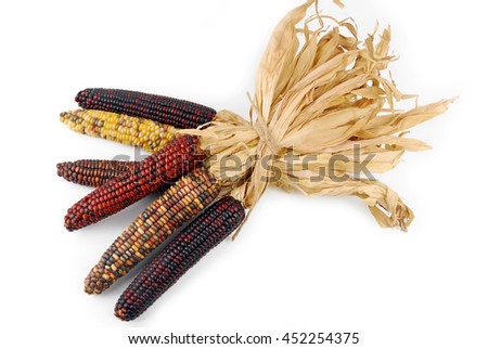 Cob corn Indian isolated on white Royalty-Free Stock Photo #452254375