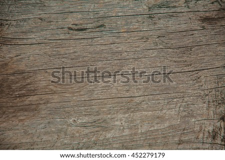 old wooden texture. wood texture sectional.