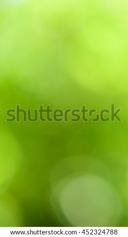 colourful blurred, garden backgrounds