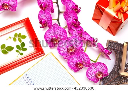  Orchid,beautiful composition. photo frame, notebook, white background. Work zone. Flat plan view from above