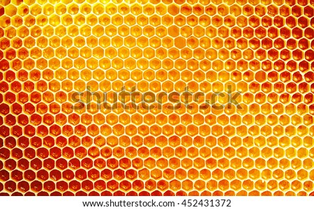 Background texture and pattern of a section of wax honeycomb from a bee hive filled with golden honey in a full frame view Royalty-Free Stock Photo #452431372