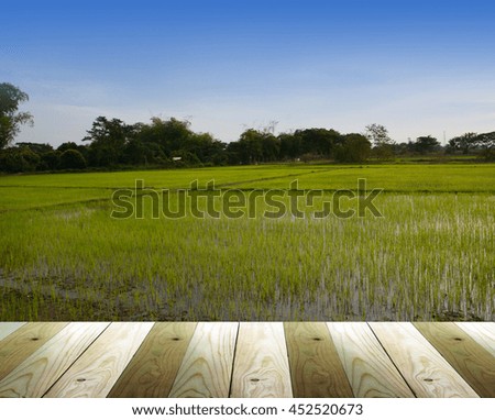 field on a background of the blue sky. cornfield. wooden balcony