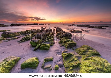 view of green moss on rocks stripe at Kudat sabah malaysia. image may contain soft focus and blur.