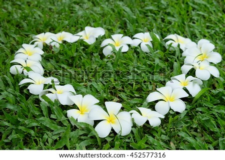 Frangipani in heart shape on green grass background