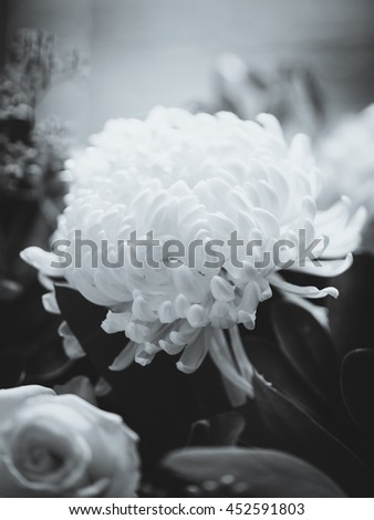 Black and white image of flowers closeup.