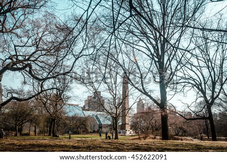 Photo of Trees at Central Park in Manhattan, New York City