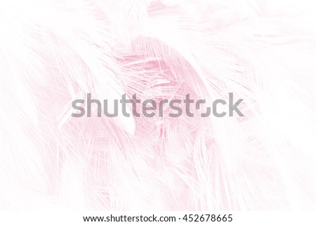 soft pink vintage color trends feather texture background
