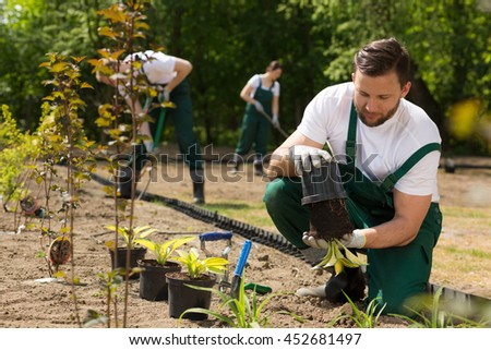 Team of the gardeners digging and weeding the bed Royalty-Free Stock Photo #452681497