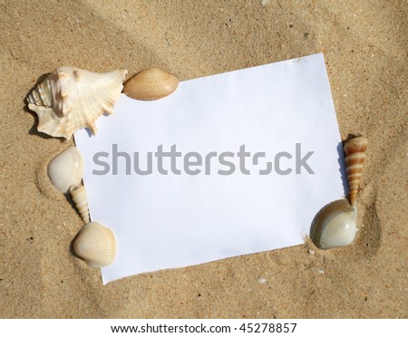 picture of seashells decoration on paper background frame