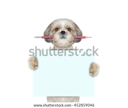 dog holding red pencil and blank -- isolated on white