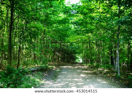 Hungry Hollow Trail Georgetown Ontario Royalty-Free Stock Photo #453014515