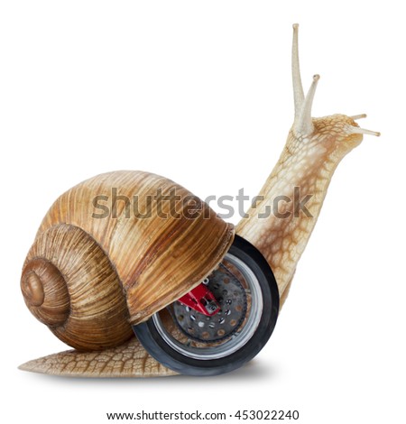 Garden snail on wheels isolated on white.