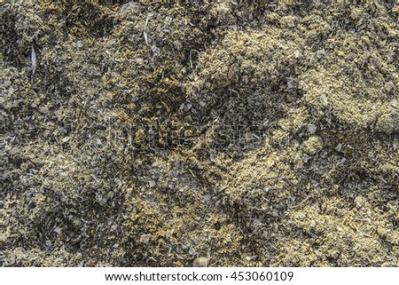 The background of natural wood sawdust and small wooden chips.