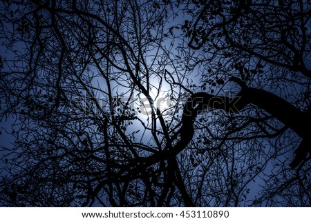 Moon At Night