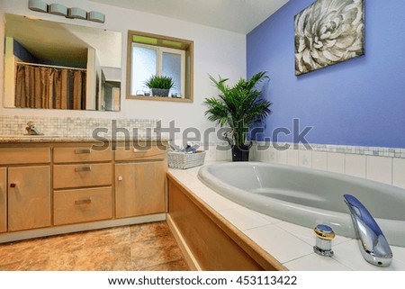 Simple yet elegant blue bathroom interior with tile trim bath tub and decorative plant pots
