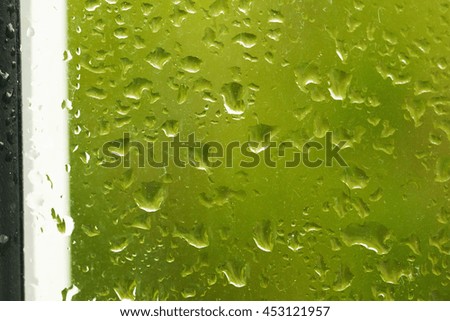 Water drops on the glass after rain                               