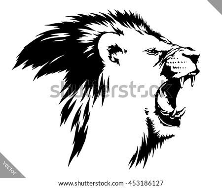 black and white linear draw lion vector illustration