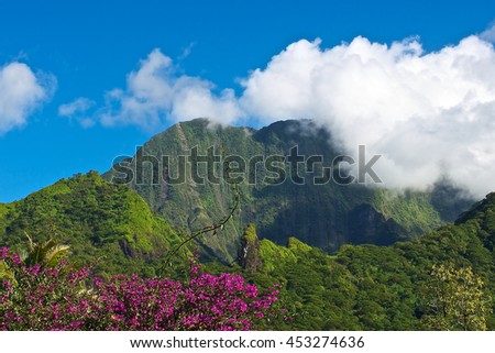 Flora of Polynesia, Tahiti island. Royalty-Free Stock Photo #453274636