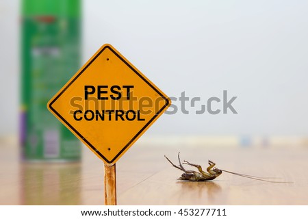 Dead cockroach on floor with caution sign pest control,pest control and exterminator service  Royalty-Free Stock Photo #453277711