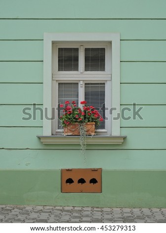 Window with flowers on green wall