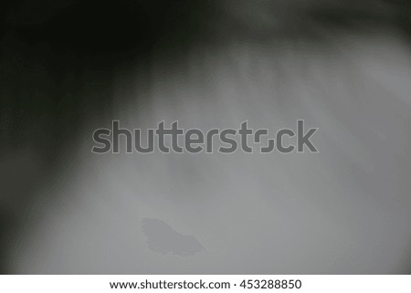 Abstract blurry soft background. Pale romantic gray and dark green tones.
