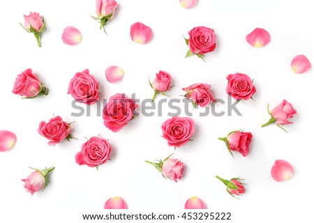 Assorted roses heads. Various soft roses and leaves scattered on a white background, overhead view. Flat lay