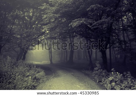 a dark road through the forest